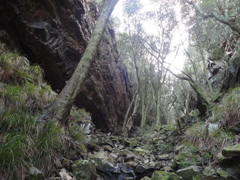 Skeleton Gorge hiking trail in Cape Town